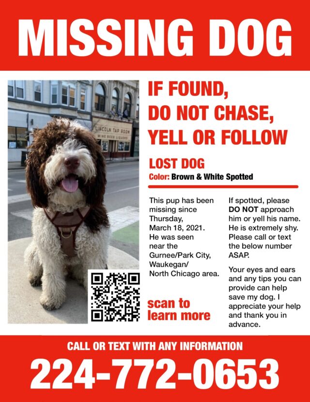 Missing Poodle poster