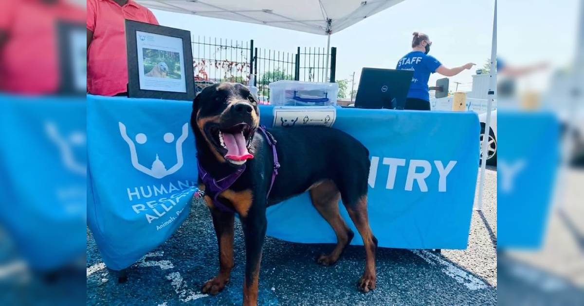 This DC “Pet Pantry” Helps Food Insecure Families Feed Their Animals