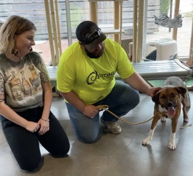 Rusty getting adopted