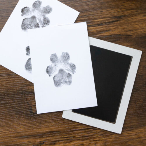 Puppy's First Paw Prints- “No Mess” Ink-less Paw Print Keepsakes- Deal 50% OFF!