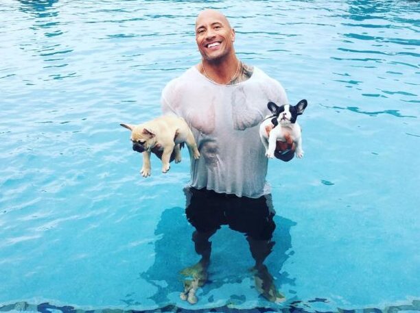 The Rock with his pups