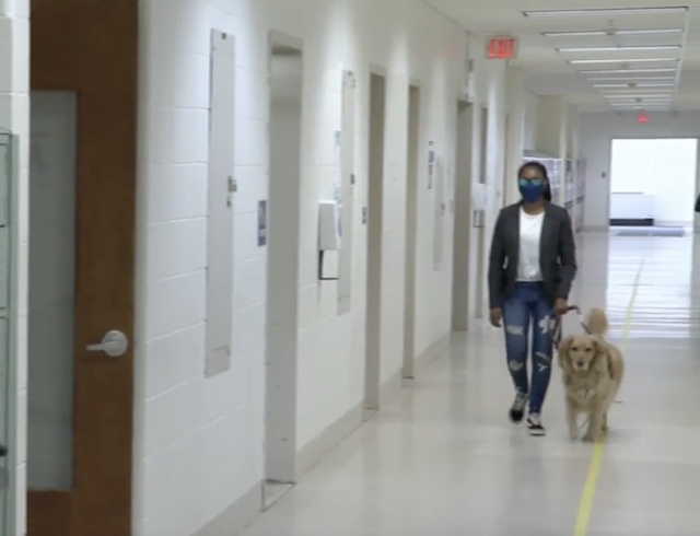 Blind teen and service dog walking down hallway