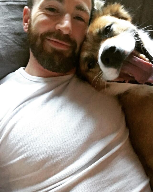 Chris Evans and rescue dog smiling