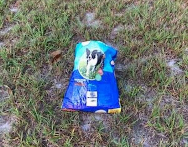 Dog abandoned with dog food