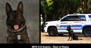 K9 Kozmo Rest in Peace