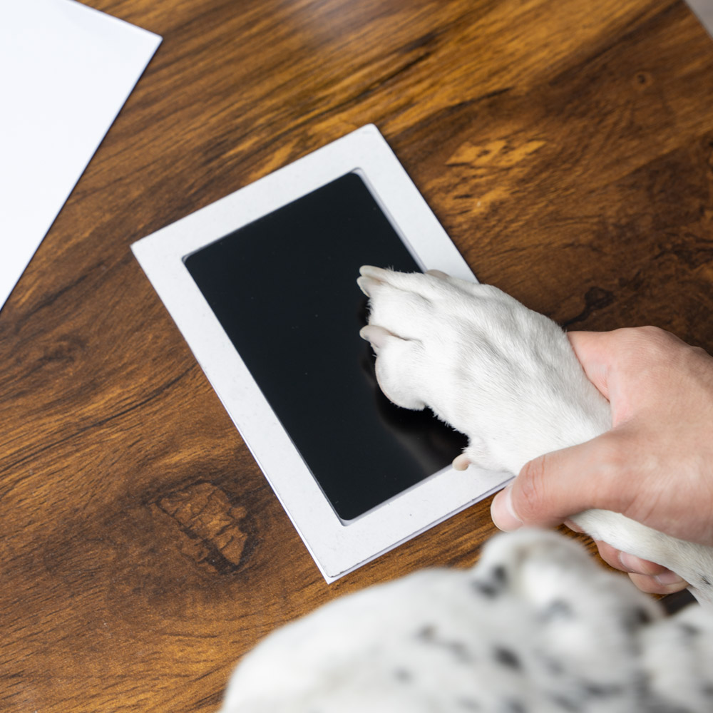 Puppy's First Paw Prints- “No Mess” Ink-less Paw Print Keepsakes- Limited  Time Offer