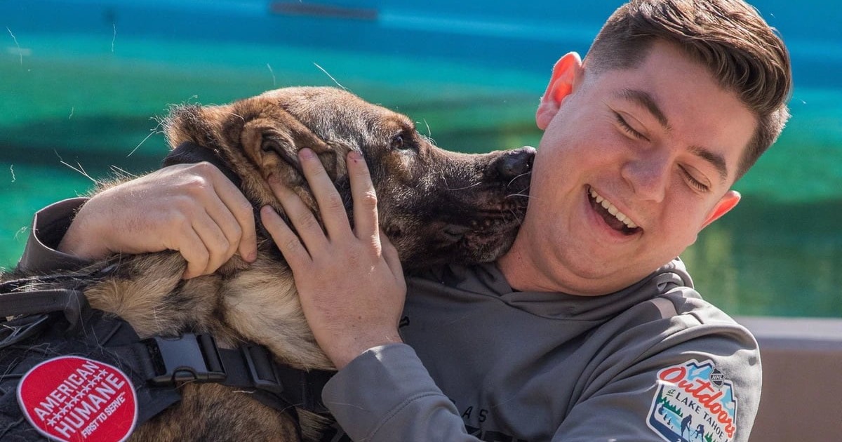 Military “Battle Buddies” Retired And Reunited With Their Best Friends