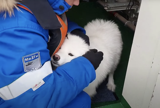 Rescuer cuddling dog on ice