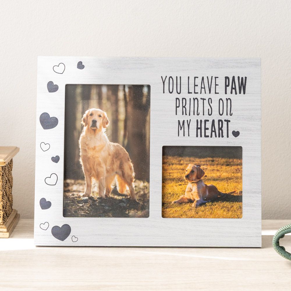 Pet Memorial Gifts To Remember Our Beloved Pets