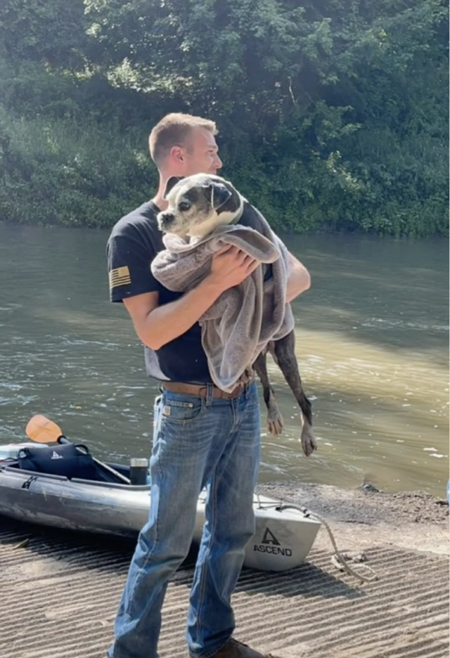 Dog on Kayak Heads Home