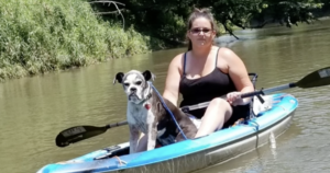 Lost dog kayak ride