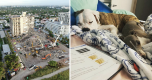 Miami building demolished