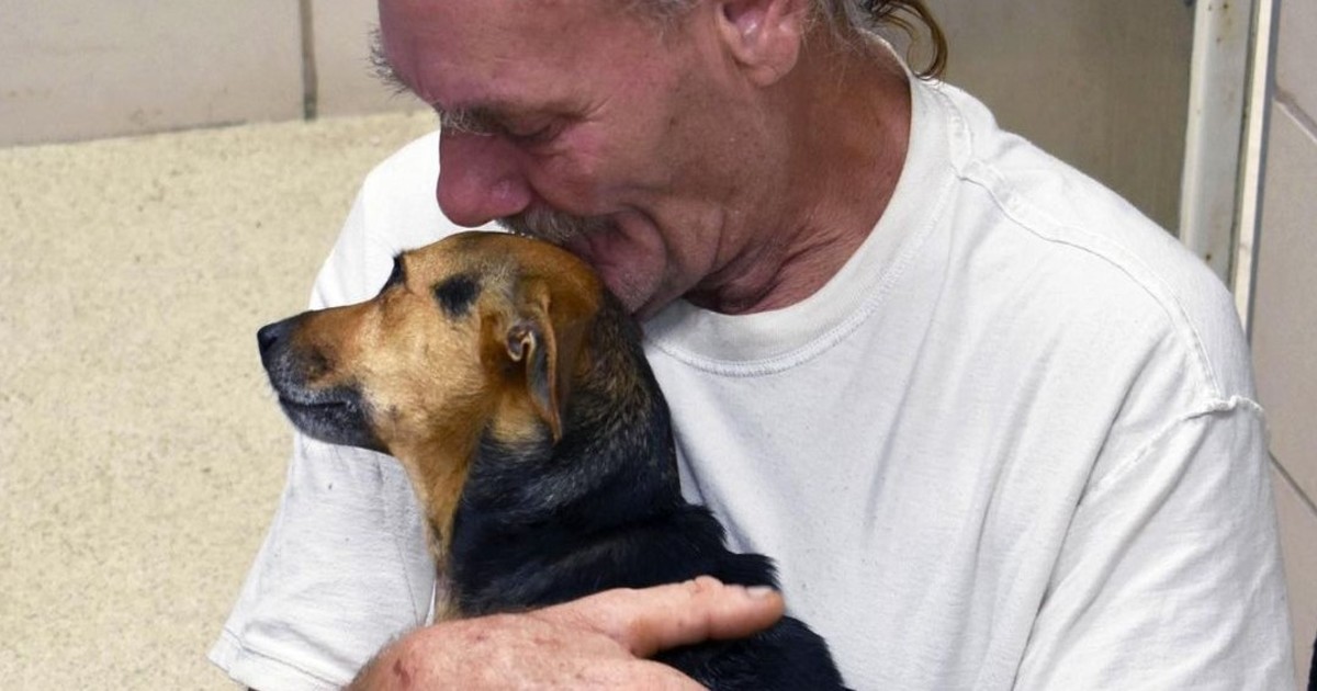 Facing Euthanasia, Local Shelter Offers Dog Dad Hope For His Injured Pup