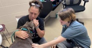 Pit Bull Reunited After 8 Years