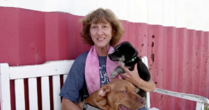 Volunteer fosters 300 dogs