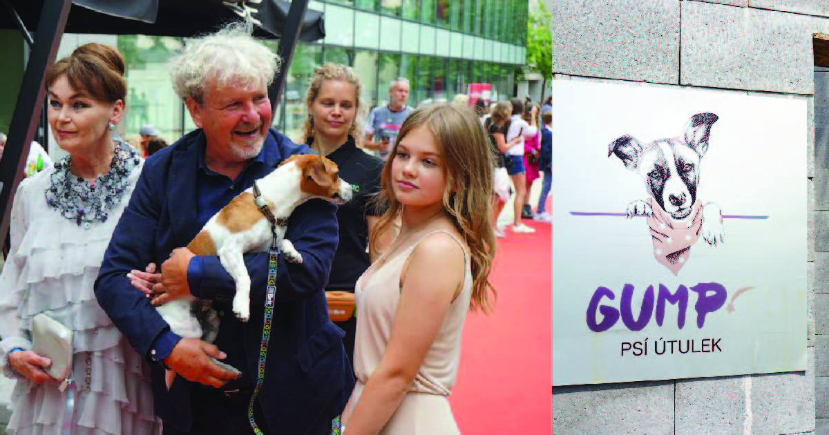 Psi vyrazili na červený koberec na premiéru českého filmu o zatoulaném štěněti