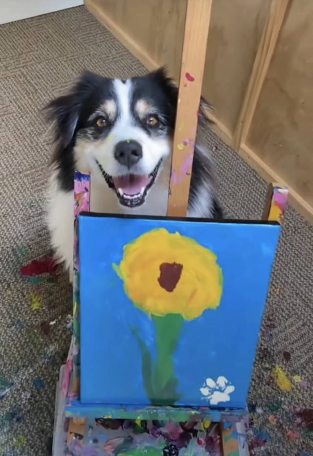 Dog paints flower