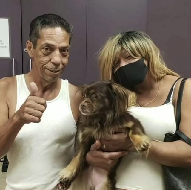 Family finds lost dog