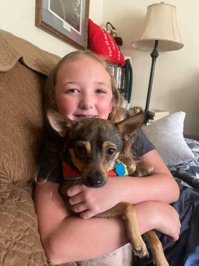 Foster dog with kid