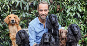 James Middleton Dog Travels Featured