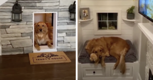 Luxury indoor doghouse