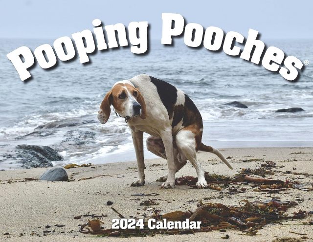 Pooping Pooches 2024 calendar