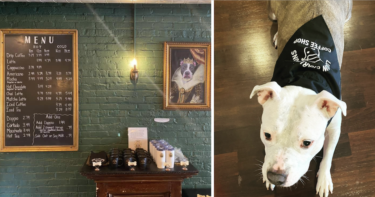 Life With Dogs: New Canine-Themed Coffee Shop Aims To Save Shelter Dogs