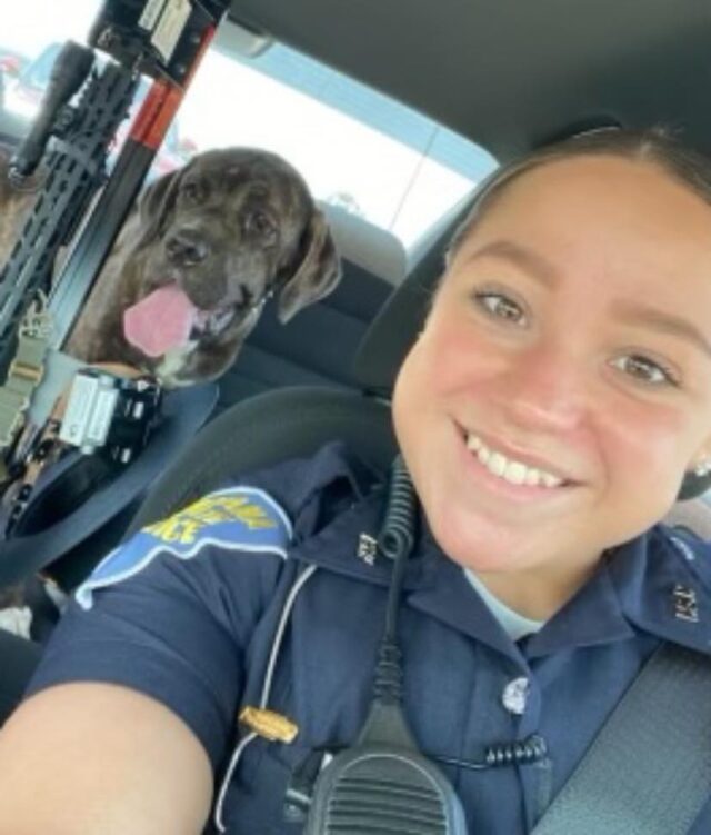 State trooper rescues puppy
