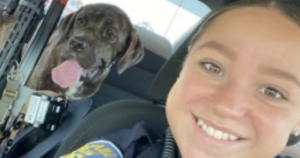State trooper rescues puppy