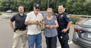 Stolen Yorkie rescued by police