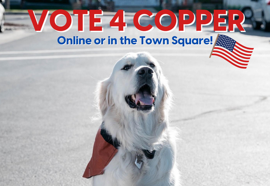 vote for copper