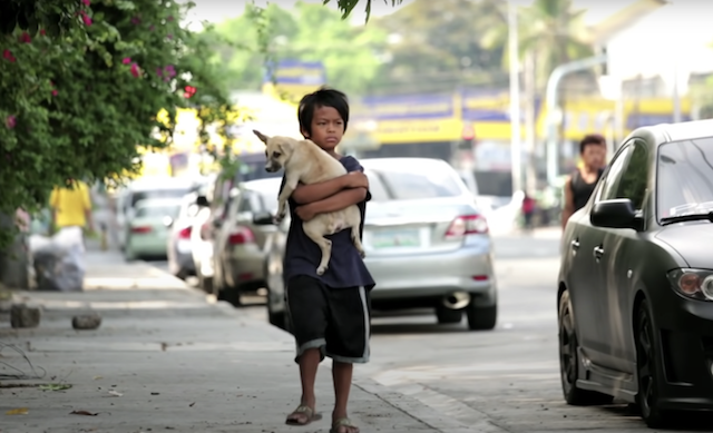 Boy and puppy walking down street