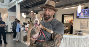 Dave Bautista Adopts Puppy