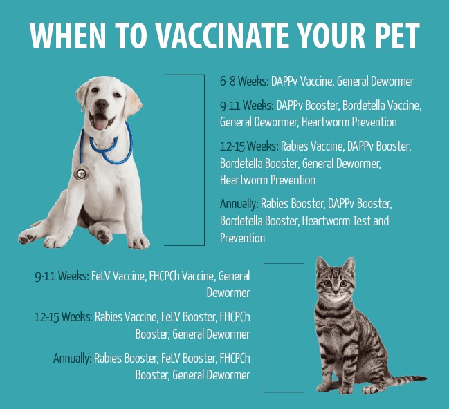 Dog vaccinations