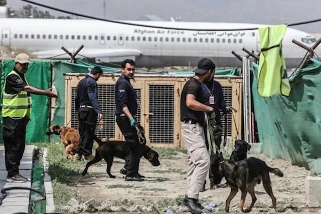 Dogs Training in Kabul