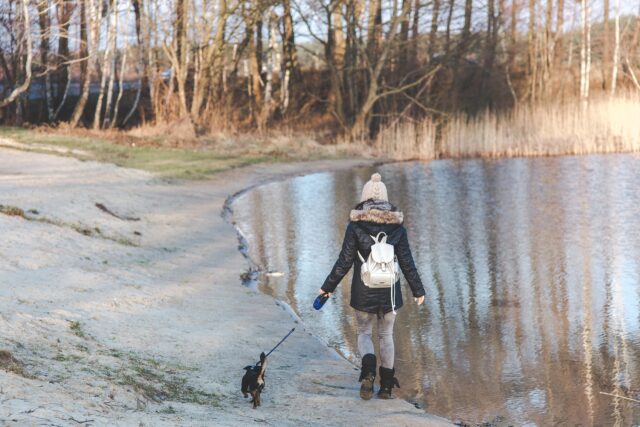 Woman and dog walking near lake