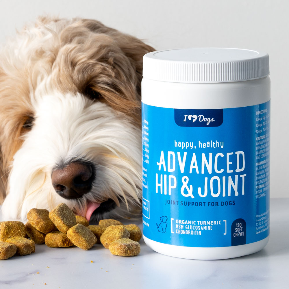 Advanced Hip &amp; Joint Chews With Glucosamine, MSM, Chondroitin, Organic  Turmeric — 120 Count