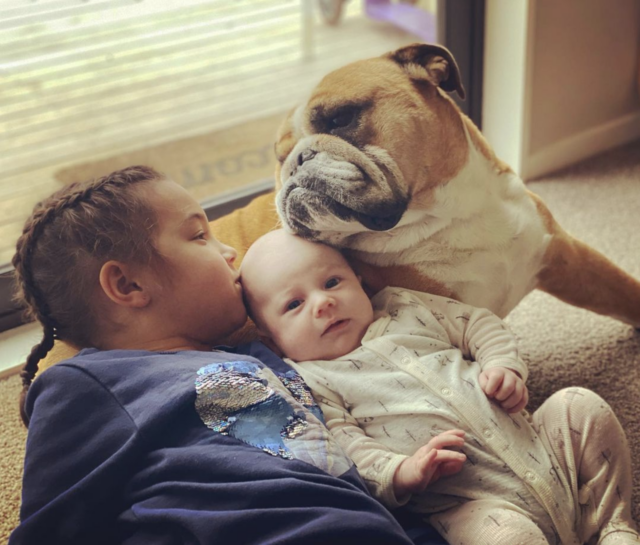 Bulldog loves her humans