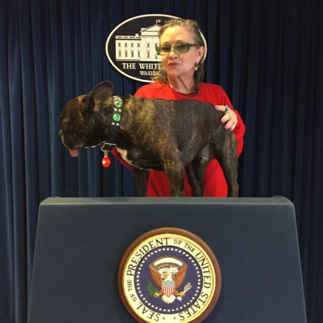 Carrie Fisher and Dog President