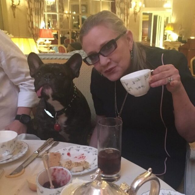 Carrie Fisher and Dog at Dinner