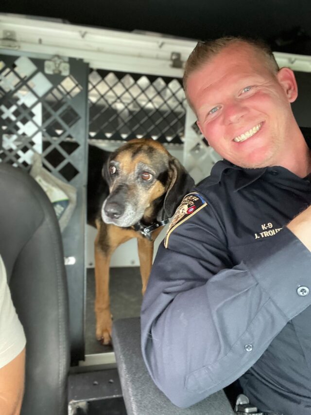 Dog with police officer