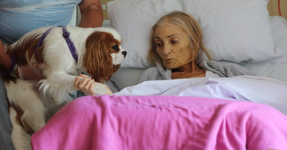 Hospice Surprises Terminal Cancer Patient With Her Dogs And Horse