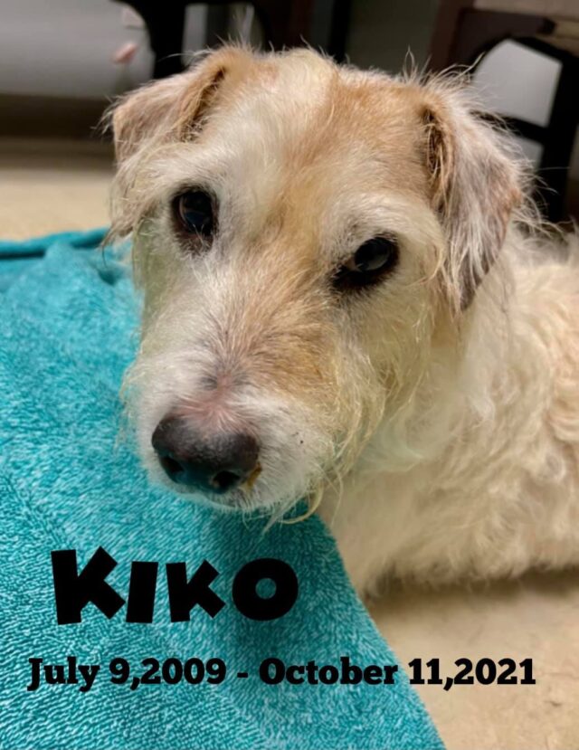 Kiko at hospital
