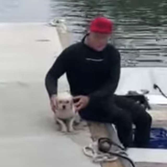 Lost dog safe on shore