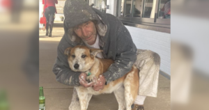 Man reunited with missing dog