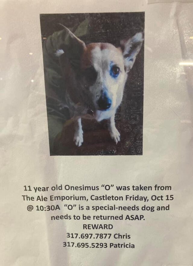Missing dog flier