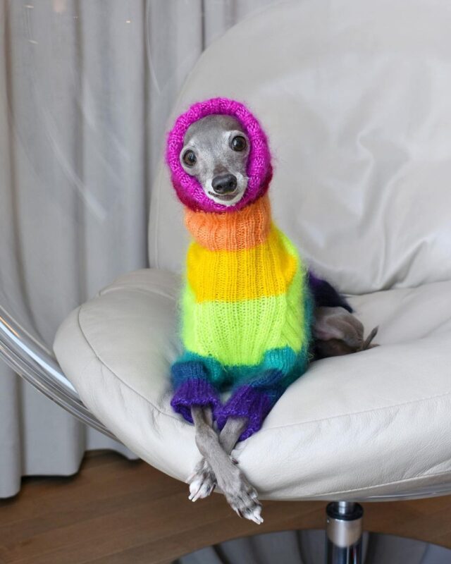 Tika rainbow sweater