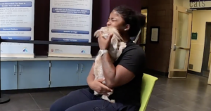 Woman and Yorkie Reunited