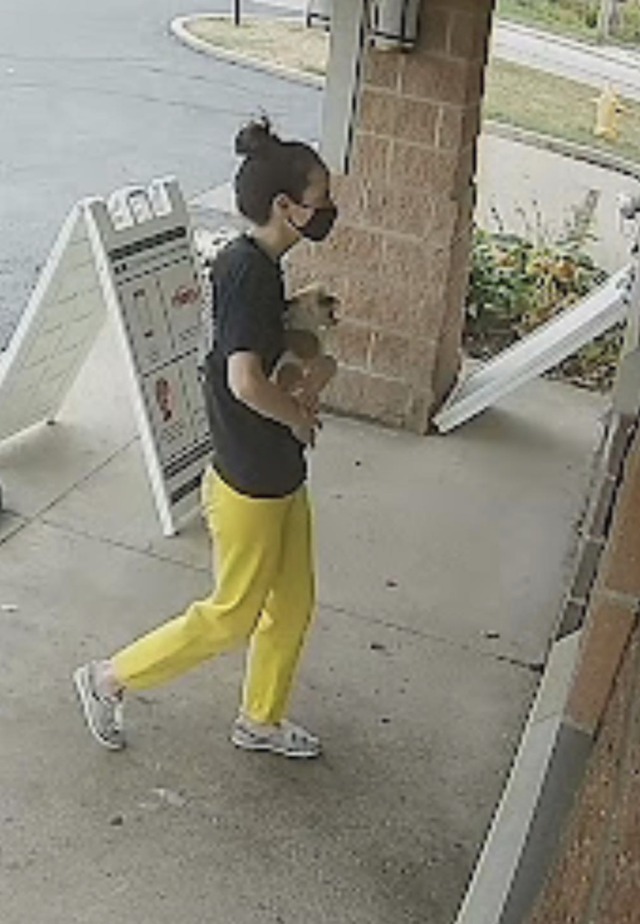 Woman carrying stolen dog