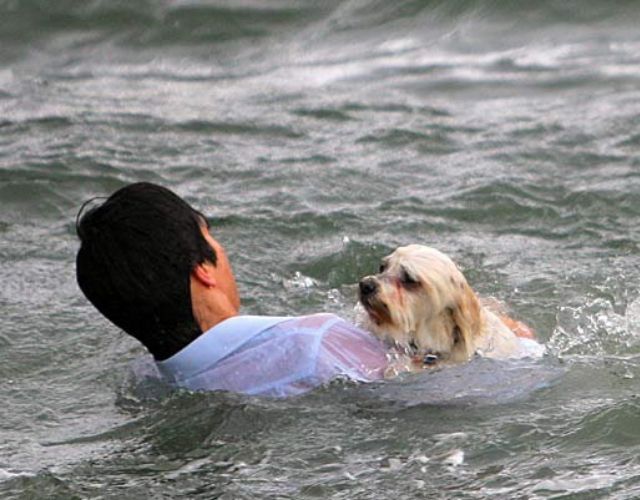 drowning dog rescue